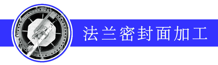 現(xiàn)場法蘭面修復(fù)-萊登(上海)工業(yè)技術(shù)有限公司.jpg